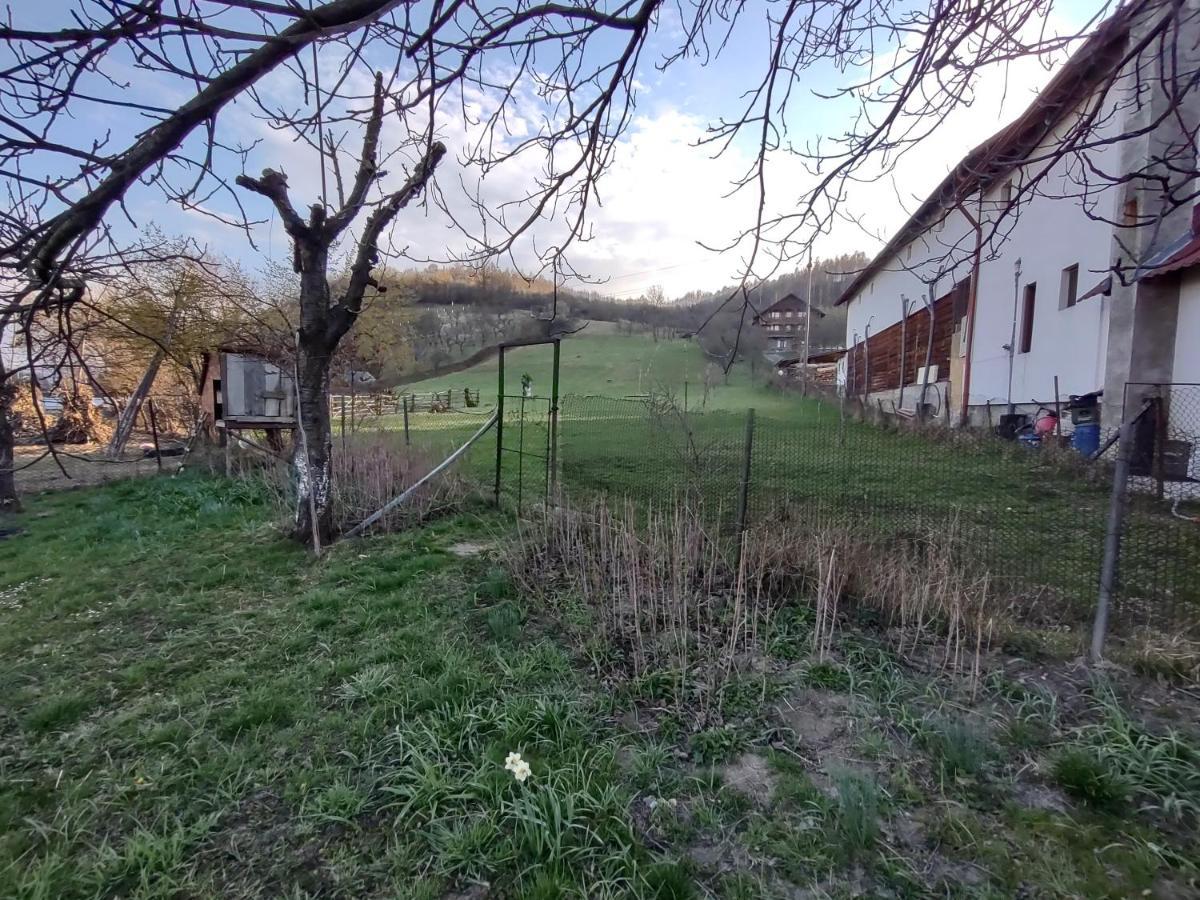Pensiunea Ghita Vasile Vadu Izei Esterno foto