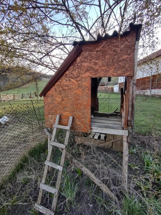 Pensiunea Ghita Vasile Vadu Izei Esterno foto