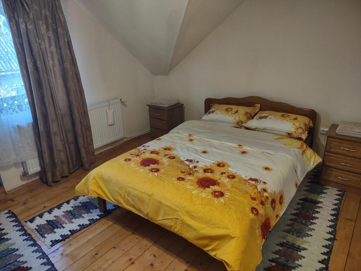 Pensiunea Ghita Vasile Vadu Izei Esterno foto