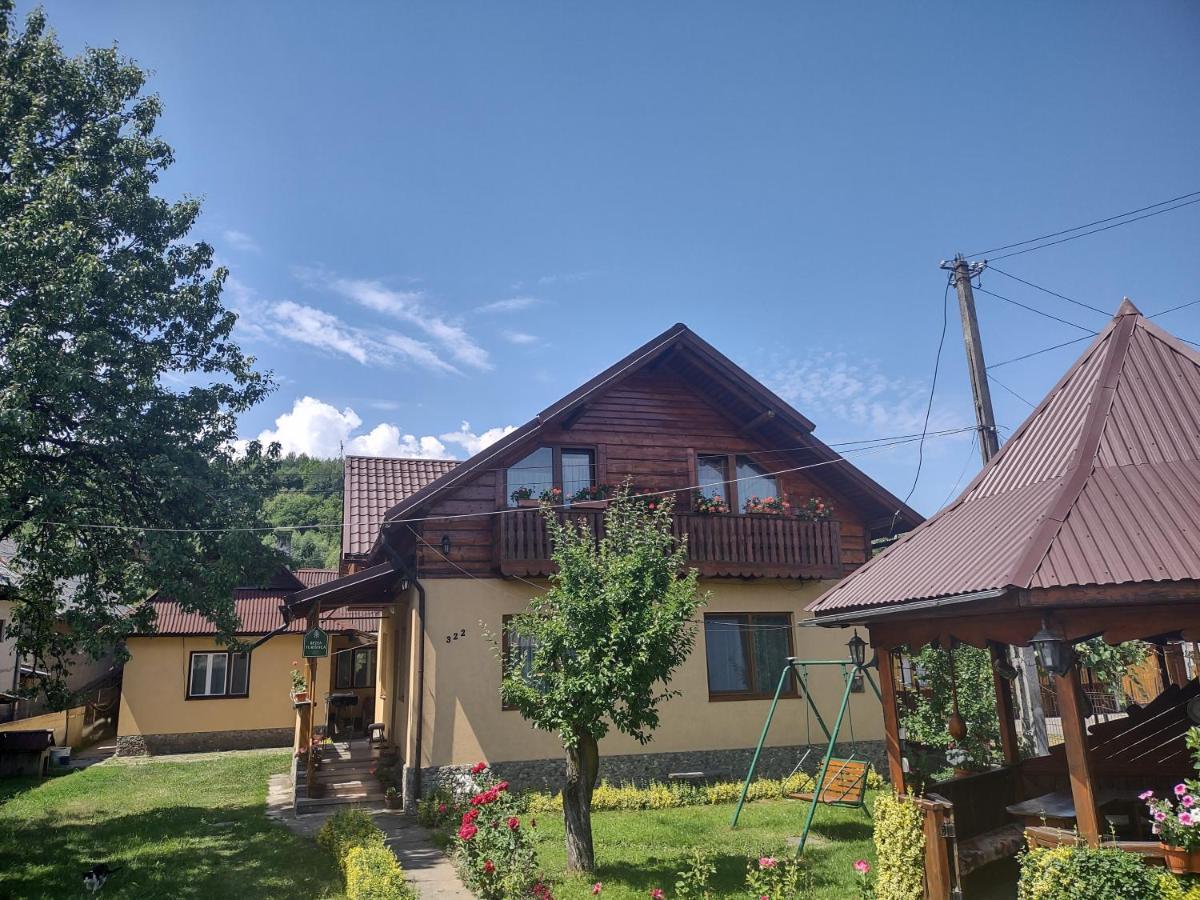 Pensiunea Ghita Vasile Vadu Izei Esterno foto