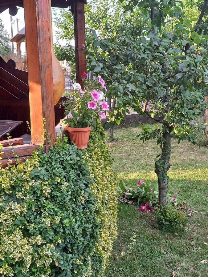 Pensiunea Ghita Vasile Vadu Izei Esterno foto