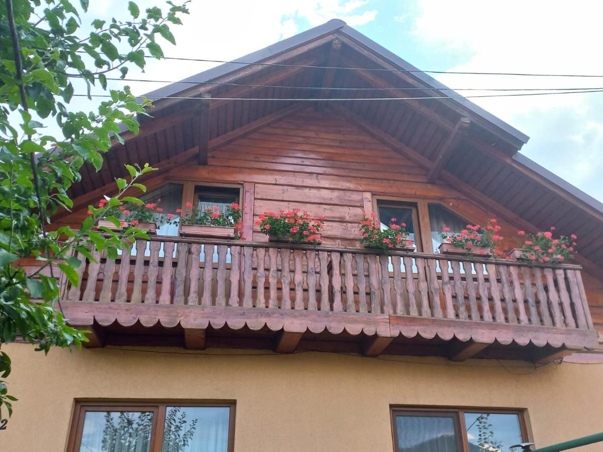 Pensiunea Ghita Vasile Vadu Izei Esterno foto