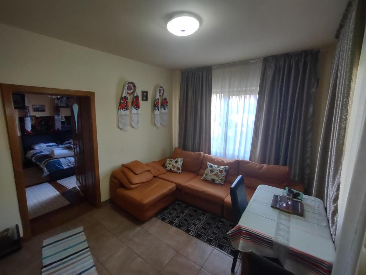 Pensiunea Ghita Vasile Vadu Izei Esterno foto