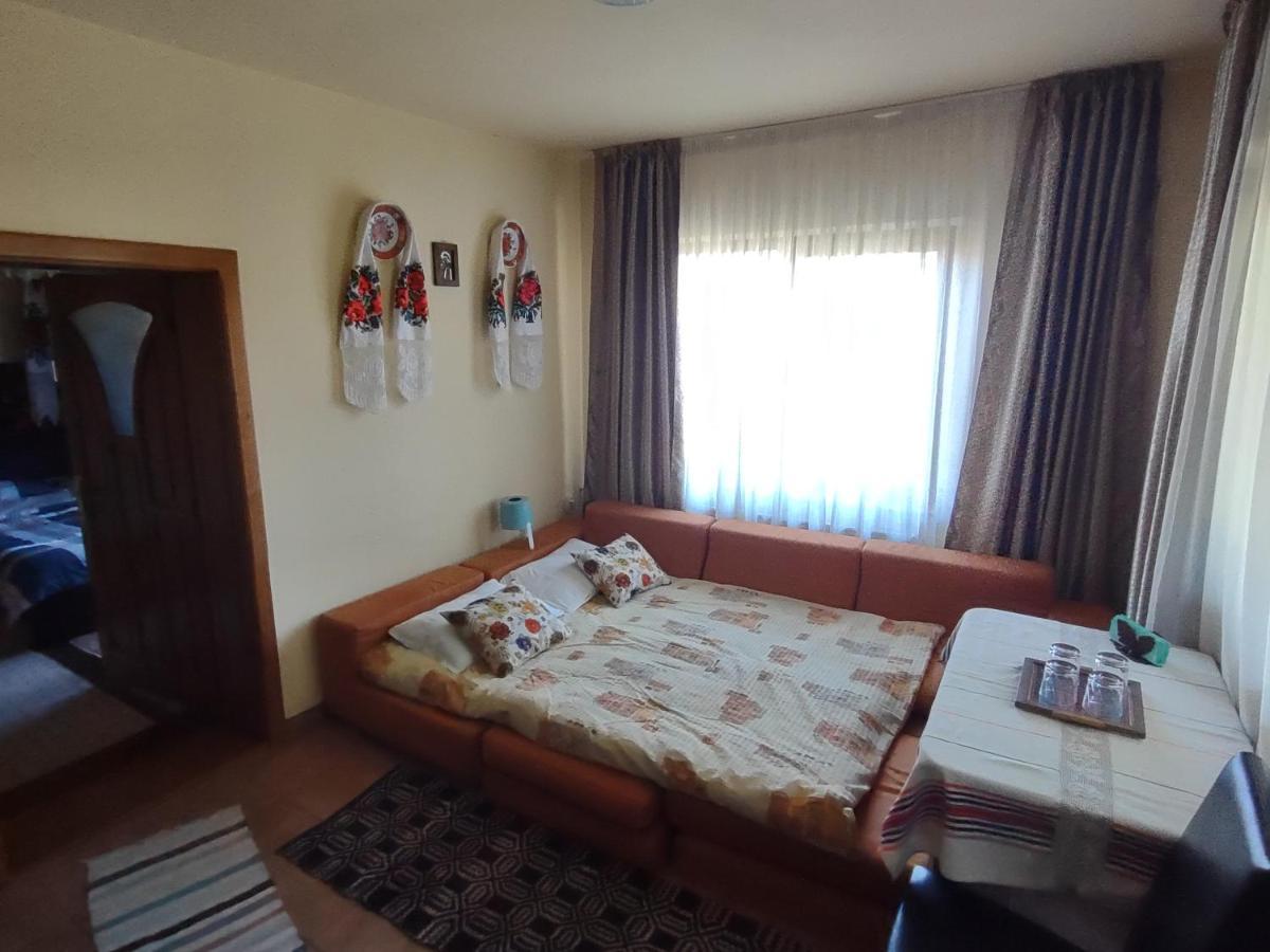 Pensiunea Ghita Vasile Vadu Izei Esterno foto